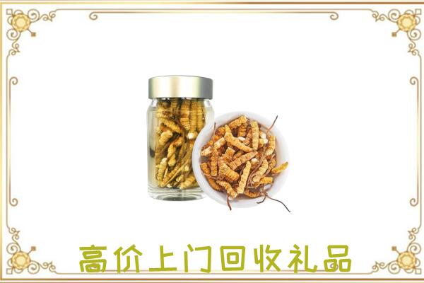 凯里周边回收虫草
